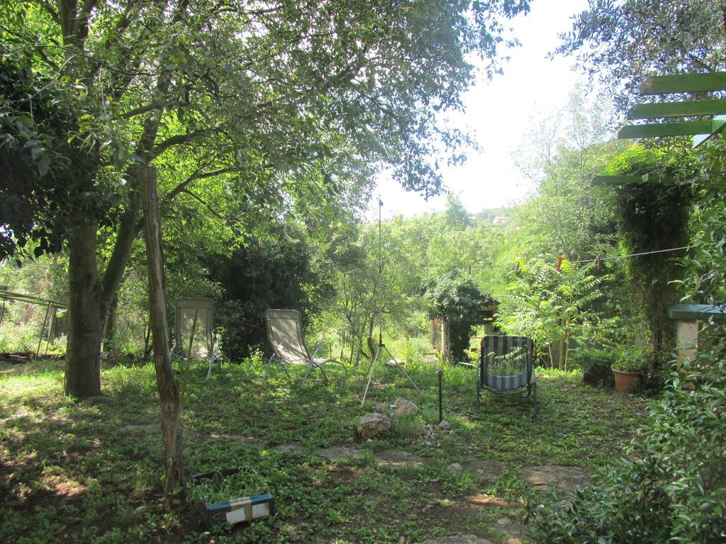 Holiday Home Botanica Drenje  Rum bild